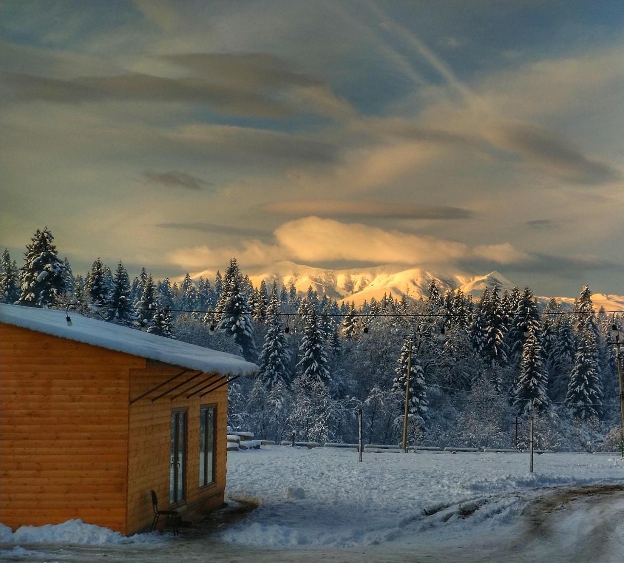 Hotel Eco House In Бакуриани Экстерьер фото